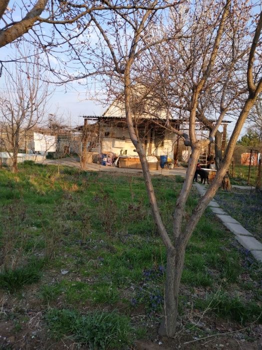 Срочно Продается дача!