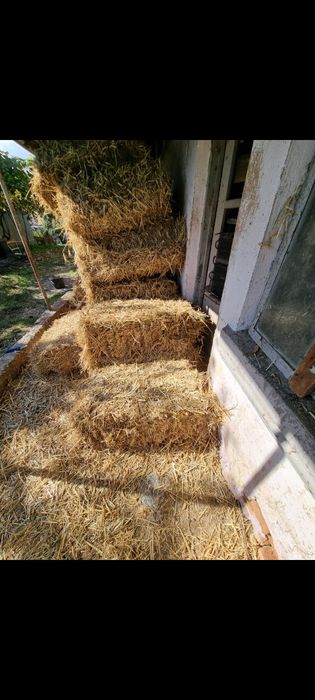 Baloți de paie de grâu