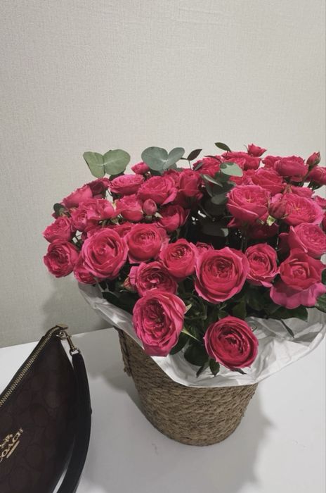 Продам цветы свежие