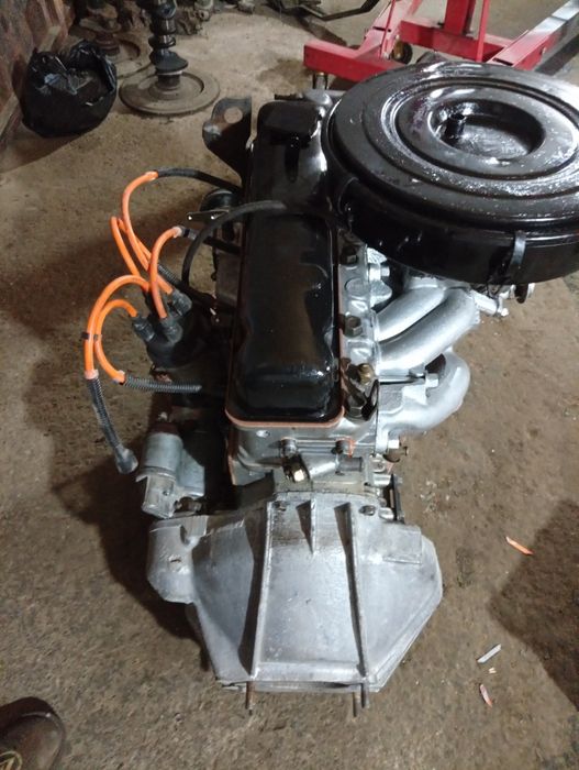 Сотка зибори холатда