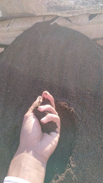 Parnik va Gul oʻstirish uchun Biogomus (bu  Chirindi,Qora tuproq)