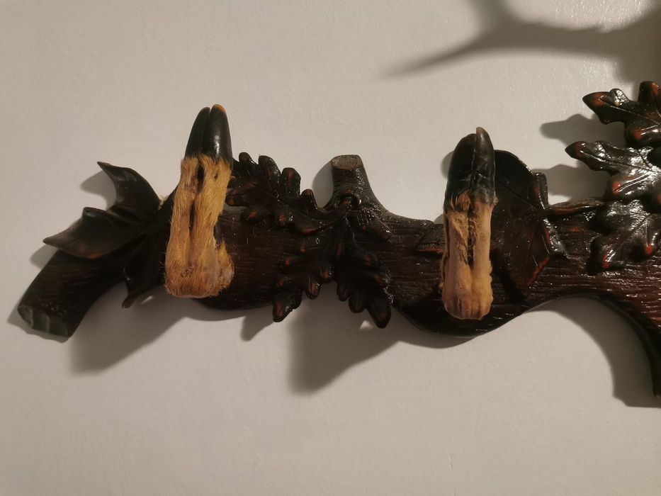 Vând trofee vânătorești!