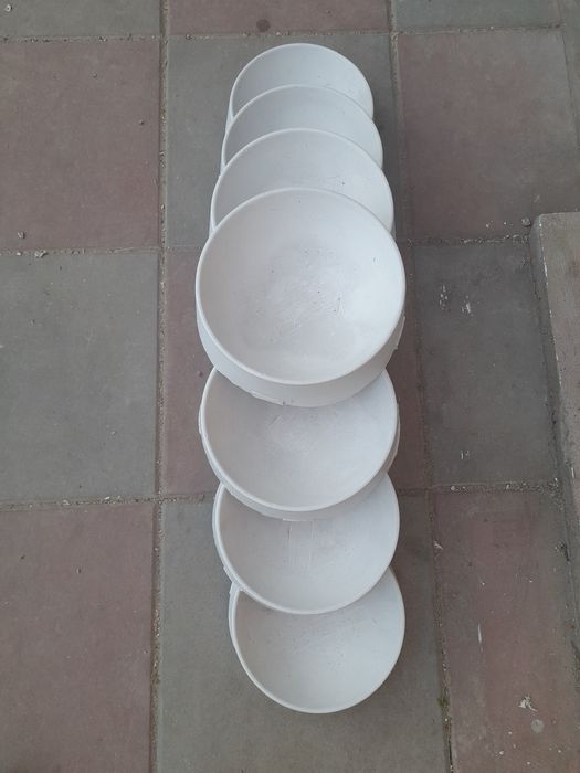 Cuibare porumbei ipsos