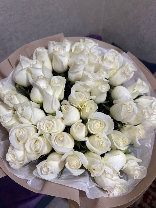 Продам цветы СРОЧНО