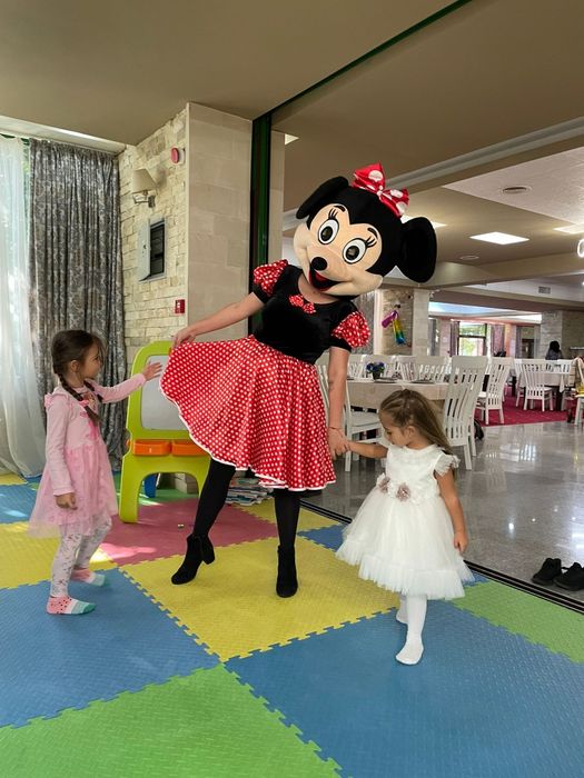 Mascote Minnie și Mickey