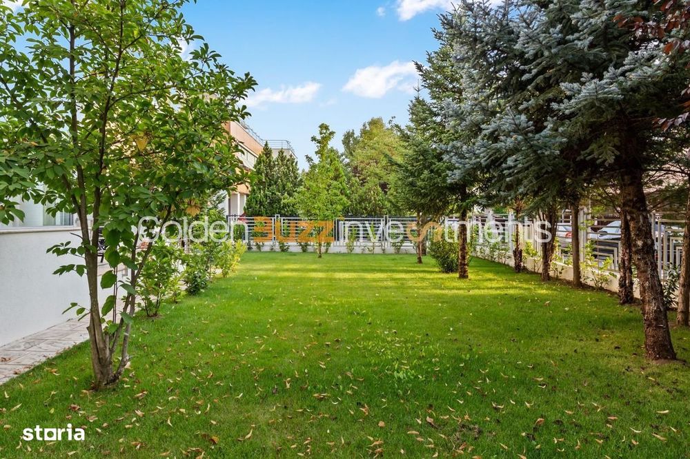 Luxury Vila Iancu Nicolae