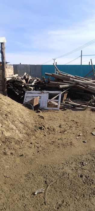 Отандық ағаштар тегін алып кетіңдер