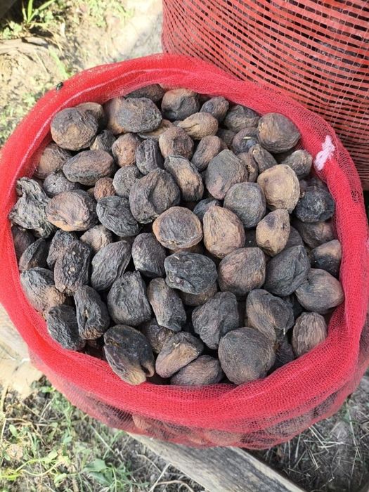 Сухофрукты курага, яблоко