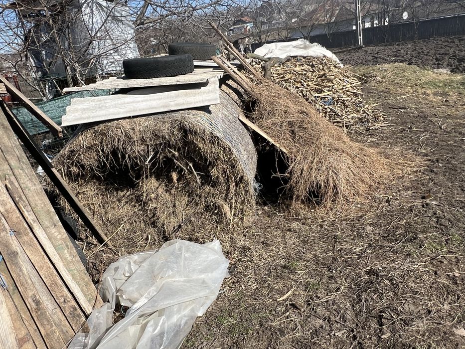 Vand strujeni si baloti de fan