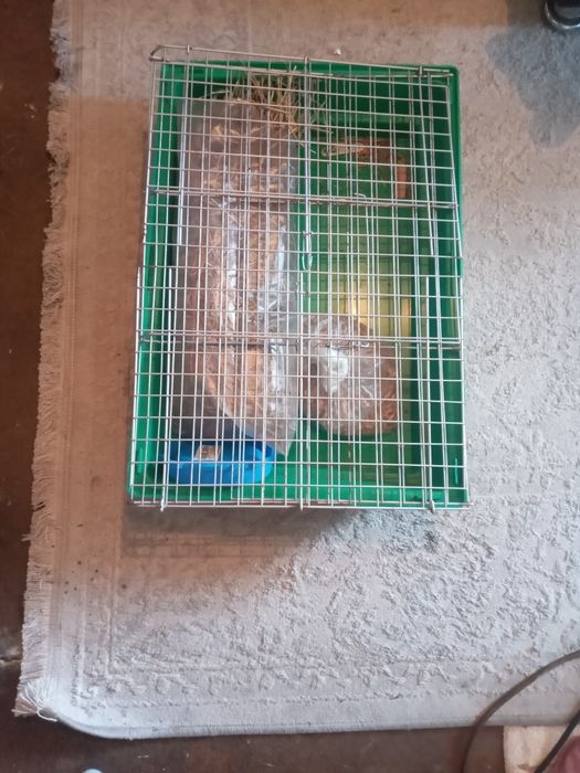 Клетка для живот