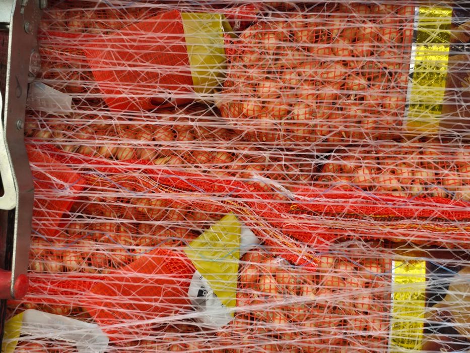 Vand Arpagic Stuttgarter