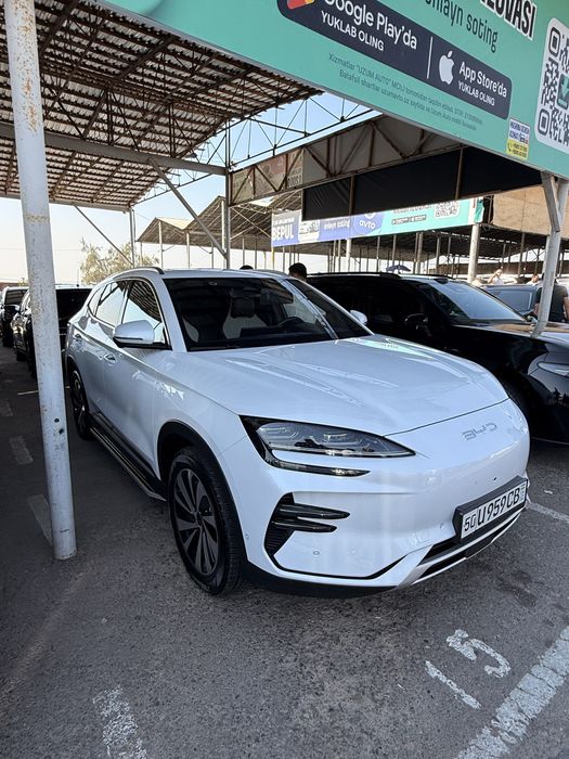 Byd chempion 605 tali tozza