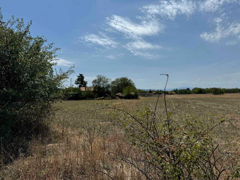 Продава се Парцел в с. Бяла река, Област Пловдив - 4200 кв.м за 9 €/кв.м - Снимка #6