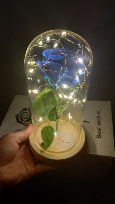 Бессмертный цветок )