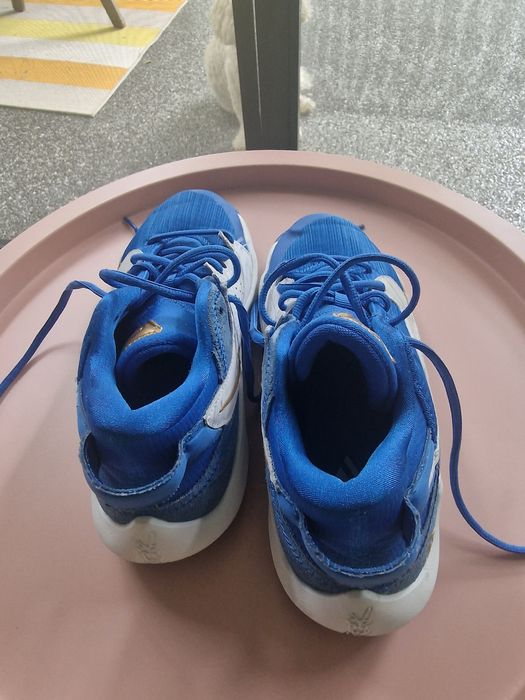 Ghete baschet Nike Zoom Freak 2 SE