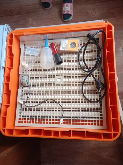 Инкубатор "умница"