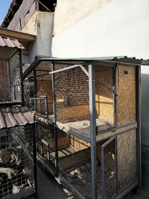 Tovuq, Qush qafas mataldan 
90x90 dan 6 ta katagi bo