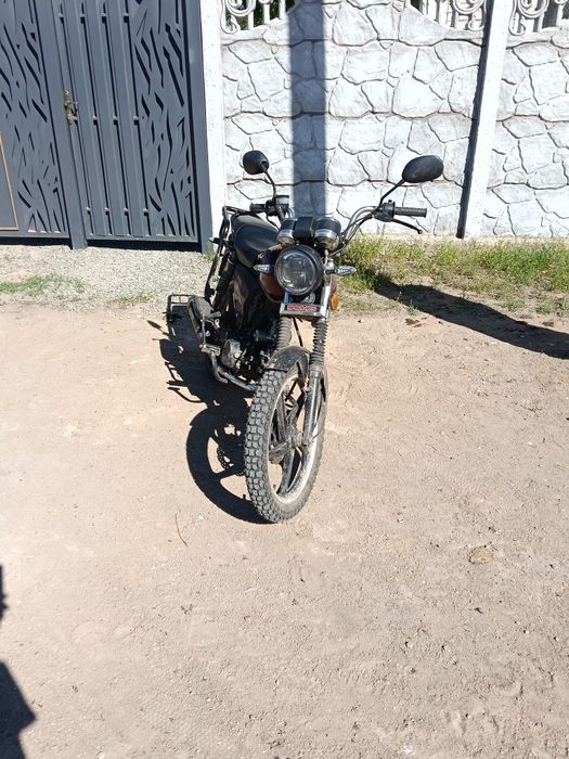 Альфа  самурай .