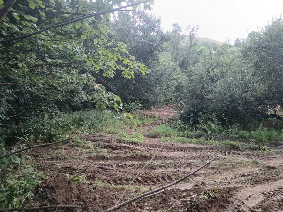 Teren de vanzare cu utilități apă și curent