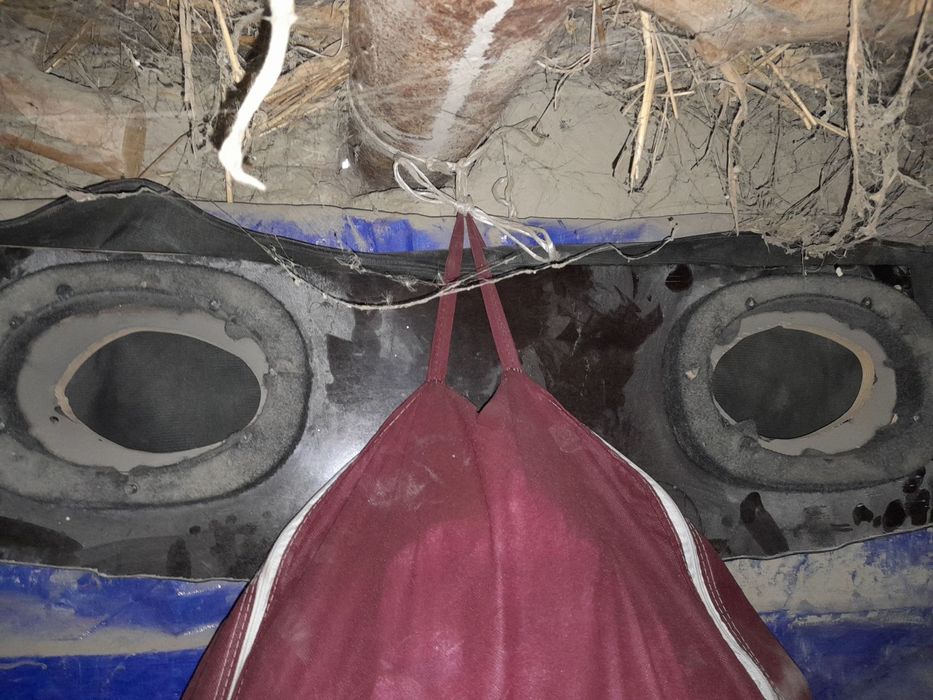 Matiz polik va kalonka patsavka