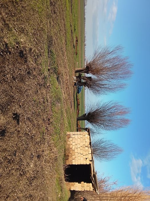 Срочна котта йеримиза сотувга чикди 51 сотих