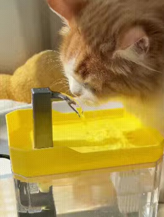 Фонтан за хидратация за домашни любимци