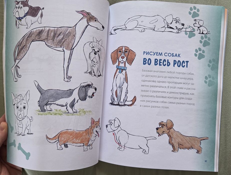 Книга Учимся рисовать кошек и собак