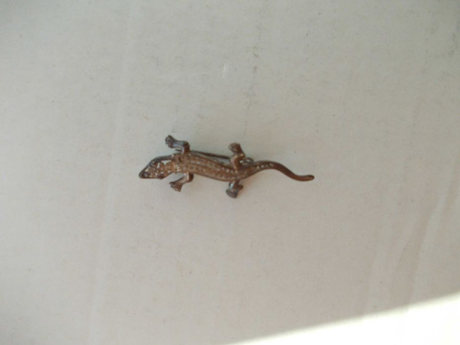 Brosa veche din argint salamandra