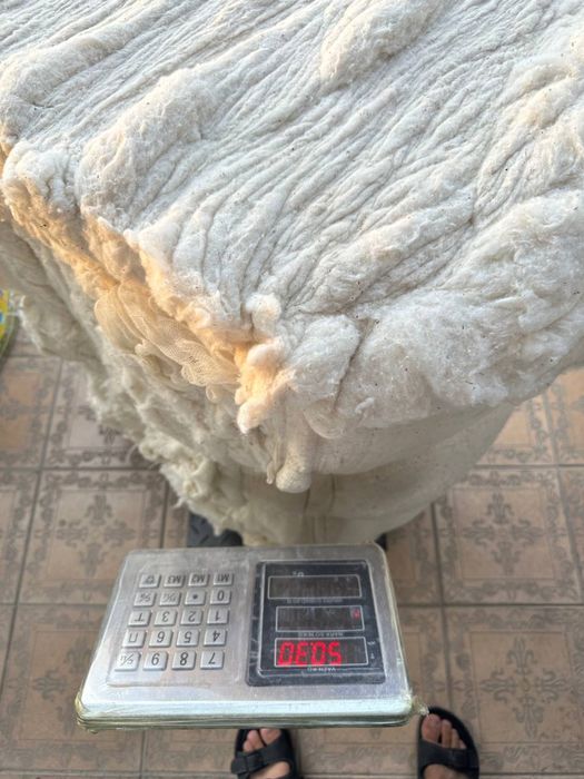 Paxta Toshkent sifati zor