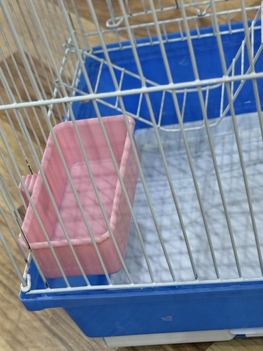 Клетка для хомяка с едой