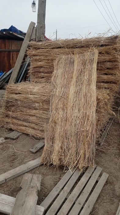 Қамыстан тоқылған  маты