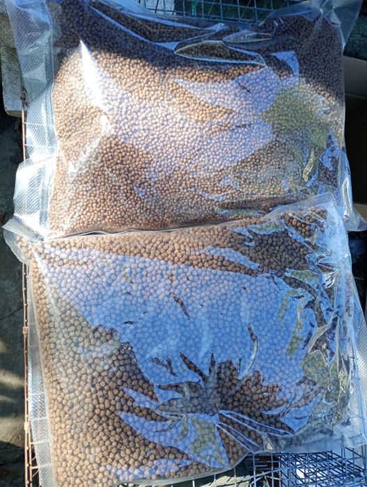 Hrană carași exotici și crapi Koi : Shubunkin, aurii, sarasa,  riukin, kohaku, calico, comete, black motor,