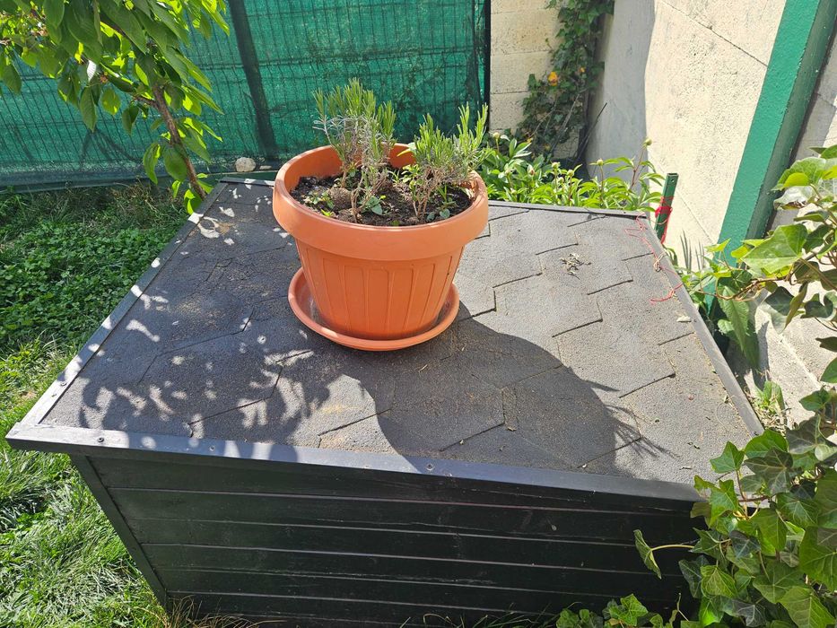Cușcă mare câine