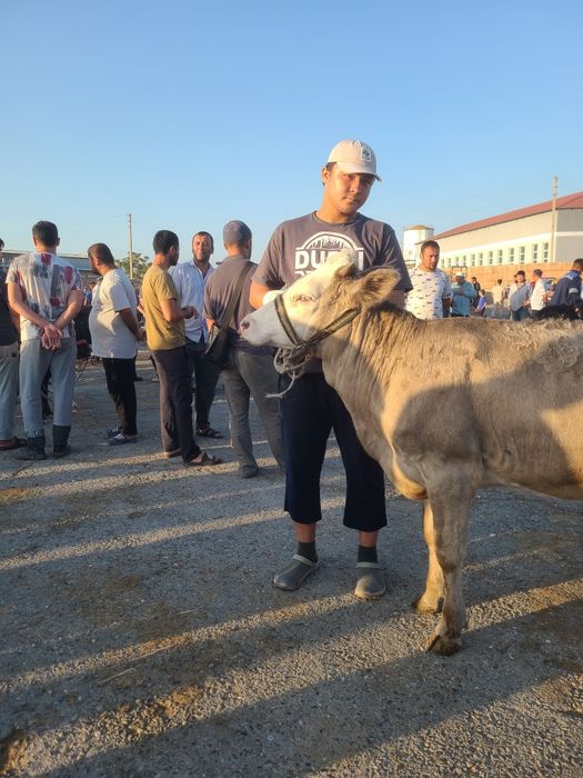 gunajin fargonada 1 yarim yosh