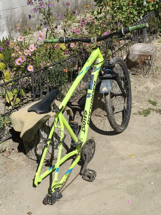 Rock Rider ST 100