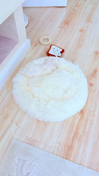 Bichon maltez mini toy rasa pura