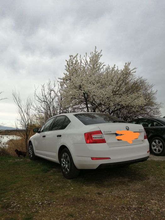 Skoda Octavia 1,6 TDI, 105 cai, euro 5