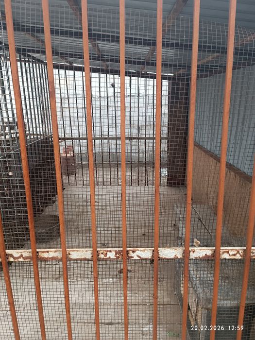 Вольер для собак