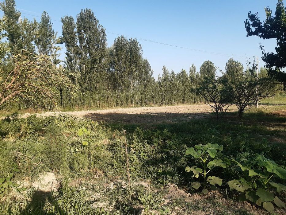 БЎстон ф/у Боғи эрам кўчаси