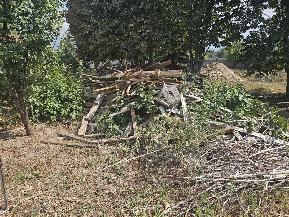 Дрова бесплатно на