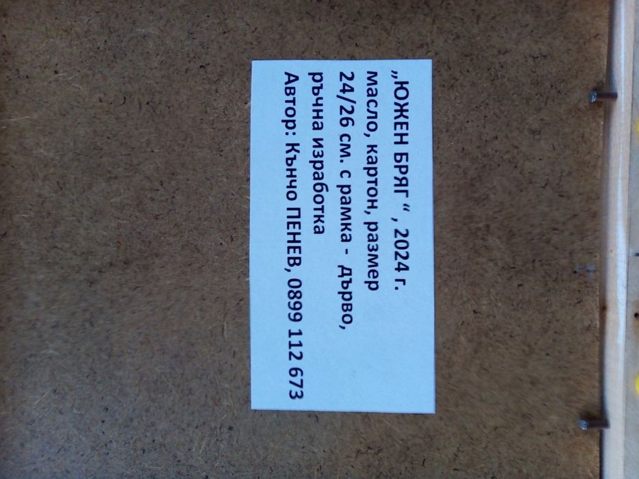 Картина авторска " Южен бряг"