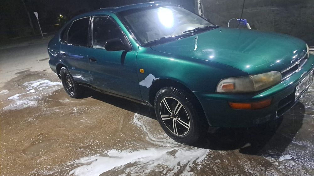 Таета корола 1.3