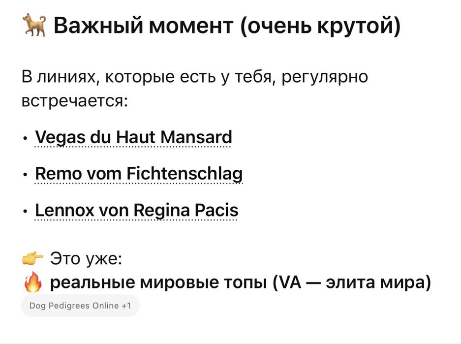 Мухтар готов для вязки