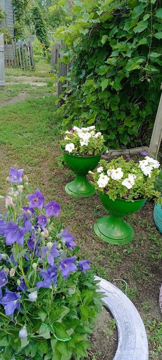 Продам дачу СО "колос"