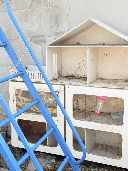 Крольчатник дом для кролика