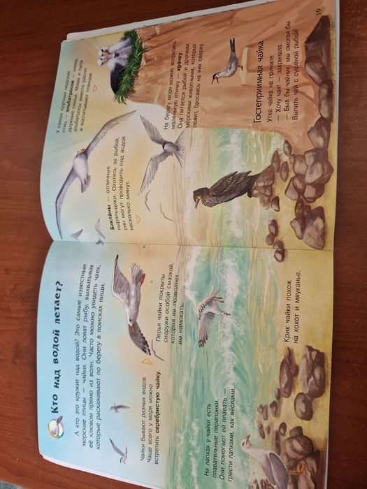 Книжка Океаны и моря