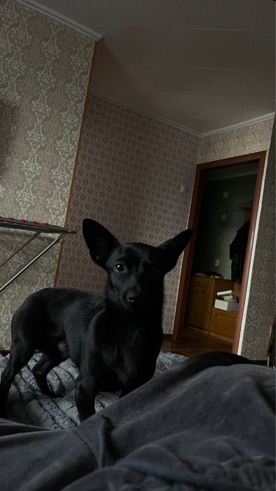 Кабель для вязки