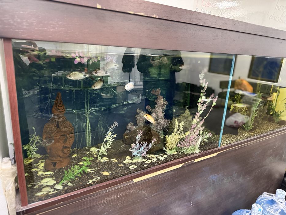продам аквариум