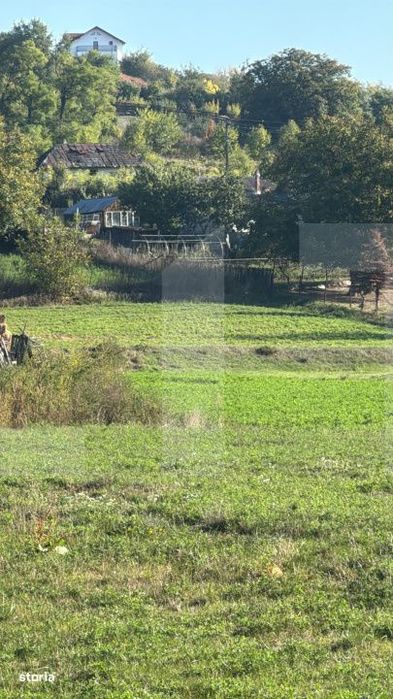 Teren intravilan 1.459 mp, ideal pentru casa, Manolesti, Botosani