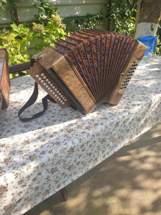 Acordeon,armonica anii '60